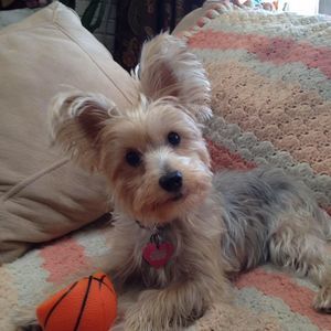 Meet your Posher, Gloria